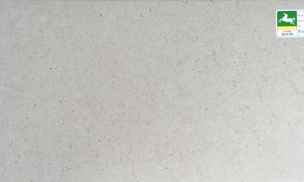 Gạch ốp tường 300x600 mm H36024