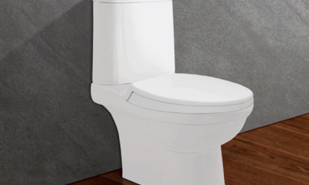 Bàn cầu hai khối Viglacera VIGVI1072N