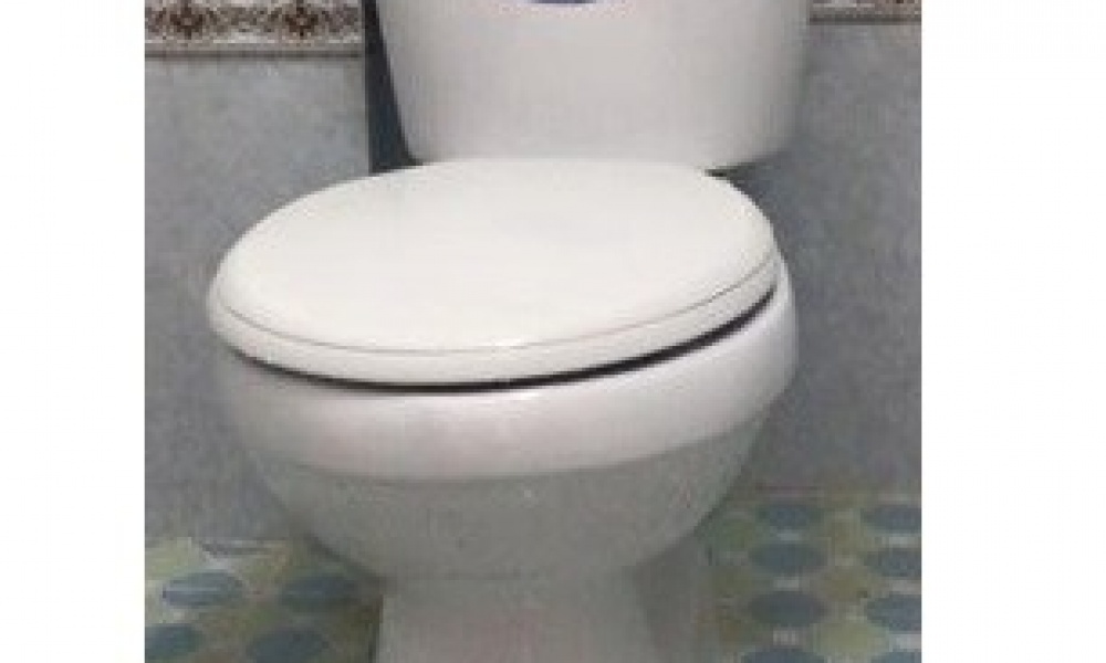 Bàn cầu hai khối  Landsign  LS2K2NT000