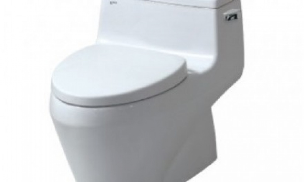 Bàn cầu một khối Inax AC-1135VN