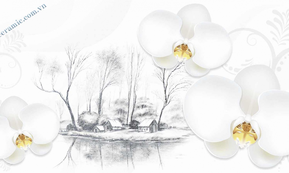 Gạch ốp tường 300x600 mm   C36012D