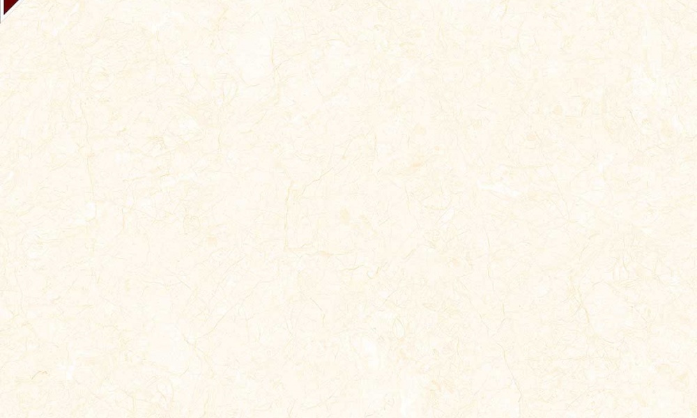 Gạch lát nền VESTA 600x600mm 6640
