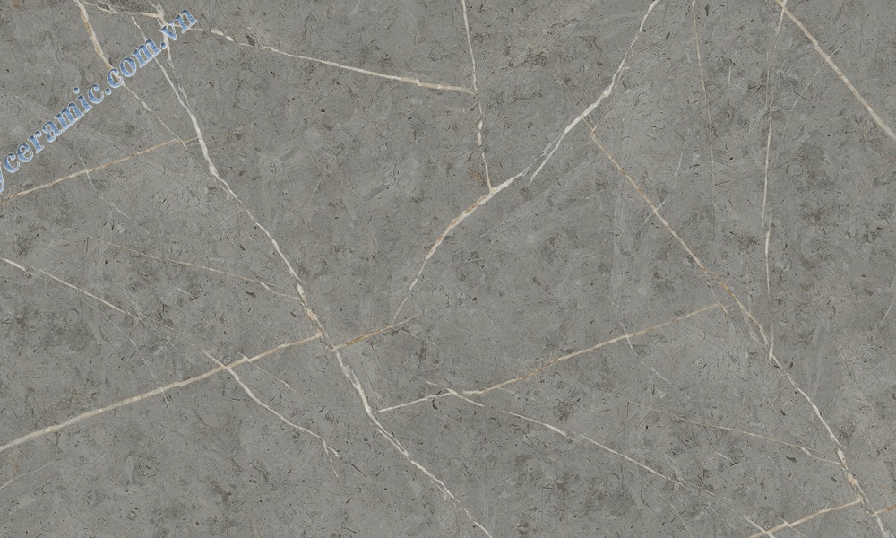 Gạch 60x120cm Ý Mỹ P6128005