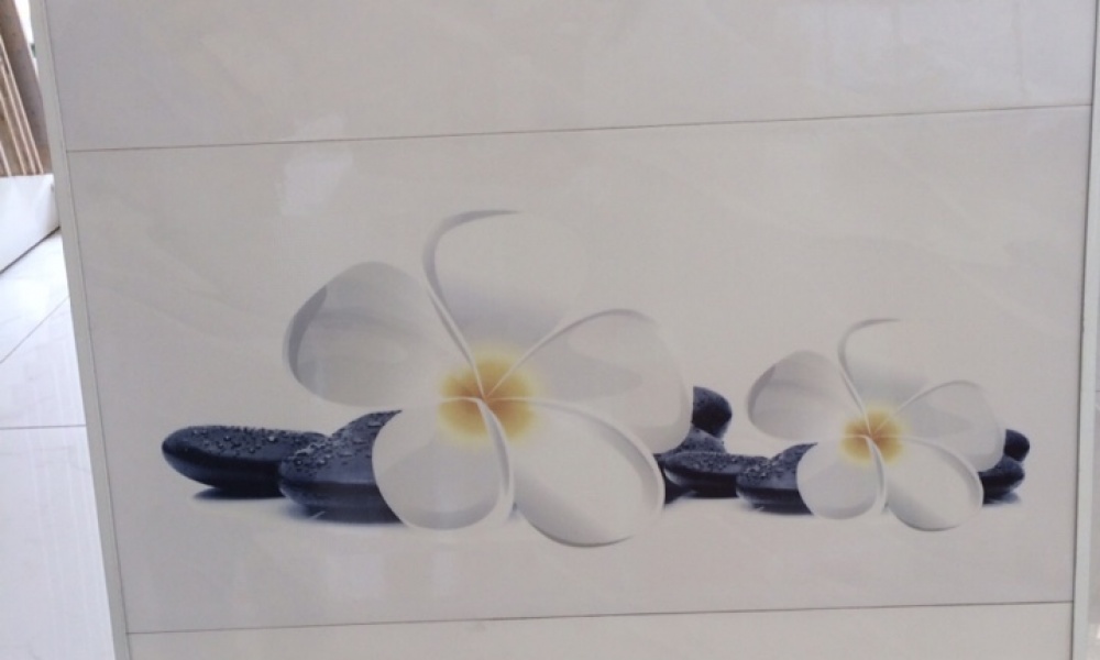 Gạch ốp tường 300x600 mm  S36012L
