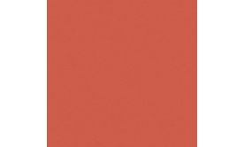 Gạch Viglacera Hạ Long 40*40 Đỏ