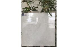 Gạch ốp lát 500x500 mm Y5113