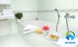Gạch ốp tường 250x400 mm