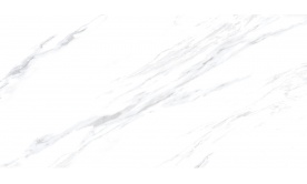 Gạch 60x120cm Ý Mỹ N6128001R