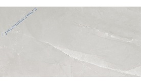 Gạch 60x120cm Ý Mỹ P6128006