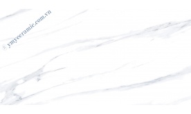 Gạch Ý Mỹ 60x120cm P612810R