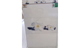 Gạch ốp tường 300x600 mm  S36012L