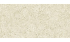 Gạch ốp tường 300x600 mm   W36008